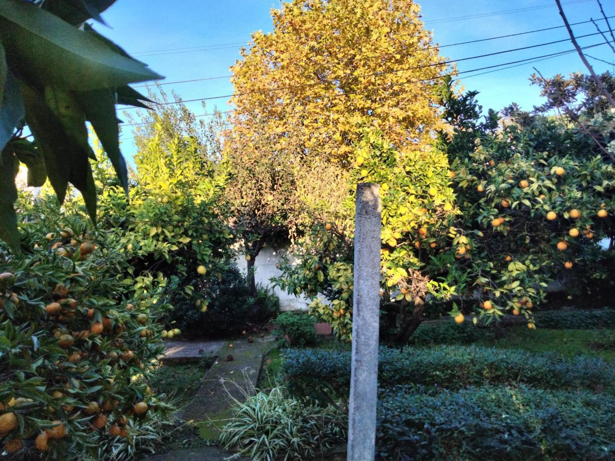 Casa Xantarim Bed & Breakfast Santarém Dış mekan fotoğraf