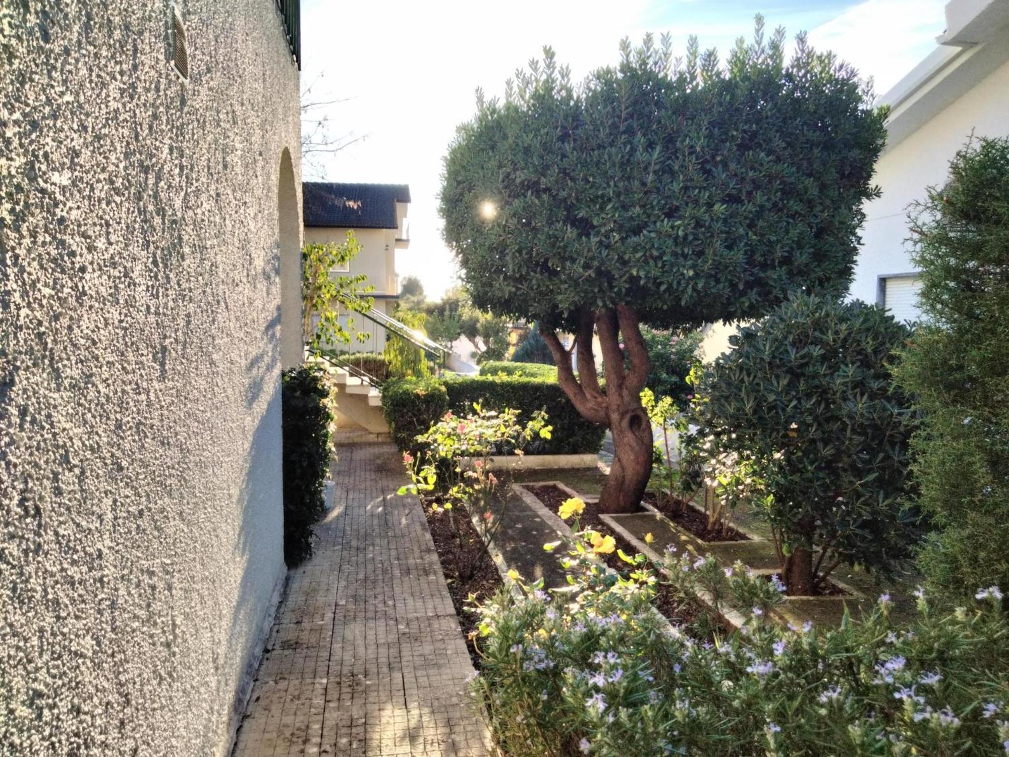 Casa Xantarim Bed & Breakfast Santarém Dış mekan fotoğraf